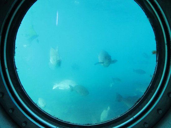 Shirahama Undersea Observation Tower
